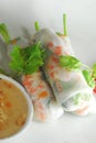 Rice noodle skin spring roll Royalty Free Stock Photo