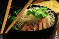 Rice noodle soup with pork meat Royalty Free Stock Photo