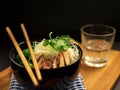 Rice noodle soup with pork meat Royalty Free Stock Photo