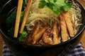 Rice noodle soup with pork meat Royalty Free Stock Photo