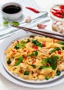 rice noodles with chicken, eggs, chinese broccoli Royalty Free Stock Photo