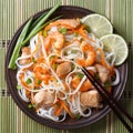 Rice noodles with chicken, shrimp and vegetables closeup Royalty Free Stock Photo