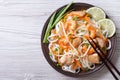 Rice noodles with chicken, shrimp and vegetables top view Royalty Free Stock Photo