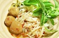 Rice noodles dressing with meat ball fish coconut milk curry sauce and fresh vegetable on bowl Royalty Free Stock Photo