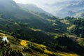 Rice pad of Sapa-Viet Nam Royalty Free Stock Photo