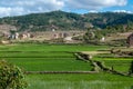 Rice paddies in the hills of central Madagascar