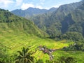 Rice paddies in the north of Luzon Island, Philippines Royalty Free Stock Photo