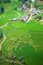 Rice paddy