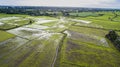 Rice paddy field in agriculture firld thailand