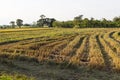 Rice paddy field