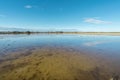 Rice paddy field in Ebro delta, Spain. Blue sky water reflection Royalty Free Stock Photo