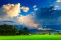 Vietnam Rice Paddy Field Royalty Free Stock Photo