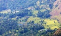 rice or paddy fields in Nepal Himalaya mountain Royalty Free Stock Photo