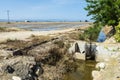 Rice paddy planting in the Ebro Delta park, Catalonia Spain Royalty Free Stock Photo