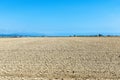 Rice paddy planting in the Ebro Delta park, Catalonia Spain Royalty Free Stock Photo