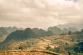 Rice paddys fill this Vietnam scene