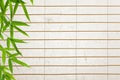 Rice paper background with bamboo leaves Royalty Free Stock Photo