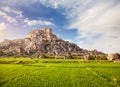 Rice plantation in Hampi