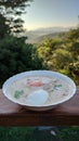 Rice porridge, rice gruel with pork chicken frake and boiled egg with coriander leaf serving  on white bowl Royalty Free Stock Photo