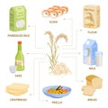 Rice Products Flat Infographics