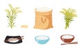 Rice products, seeds and use of finished crop. Rice sheaves and stalks. Storage of cereals in canvas bag.
