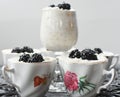 Rice Pudding with Blackberries Royalty Free Stock Photo