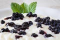 Rice pudding with blueberry cream Royalty Free Stock Photo