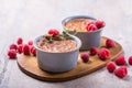 Rice pudding. French milk rice dessert with raspberries Royalty Free Stock Photo