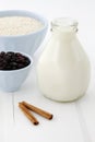 Rice pudding ingredients Royalty Free Stock Photo