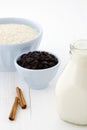 Rice pudding ingredients Royalty Free Stock Photo