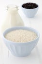 Rice pudding ingredients Royalty Free Stock Photo