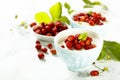 Rice pudding with wild strawberry Royalty Free Stock Photo