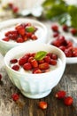 Rice pudding with wild strawberry Royalty Free Stock Photo