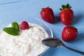 Rice pudding with mint Royalty Free Stock Photo