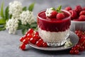 Rice pudding with raspberry compote and red currants Royalty Free Stock Photo
