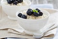 Rice pudding with syrup and berries Royalty Free Stock Photo