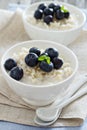 Rice pudding with syrup and berries Royalty Free Stock Photo