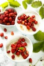 Rice pudding with wild strawberry Royalty Free Stock Photo