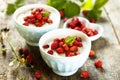 Rice pudding with wild strawberry Royalty Free Stock Photo