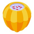 Rice pumpkin soup icon isometric vector. Armenia freedom