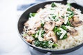 Rice risotto with mushrooms, parmesan and spinach close up
