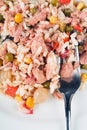 Rice salad with tuna fish and vegetables Royalty Free Stock Photo