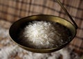 Rice on a scale Royalty Free Stock Photo