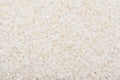 Rice Seeds Background