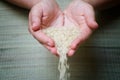 Rice seeds are poured from the palms of the farmer Royalty Free Stock Photo