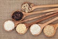 Rice Selection Royalty Free Stock Photo