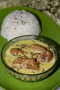 Rice served with Curry or Boiled Rice and Curry or Food Photography or Pakora Curry or Asian Cuisine or Karhi