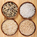 Rice set Royalty Free Stock Photo