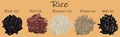 Rice set. Black, red, basmati, brown, wild. Vectric 3d illustration, rice close-up. Royalty Free Stock Photo