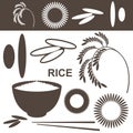 Rice. Set Royalty Free Stock Photo